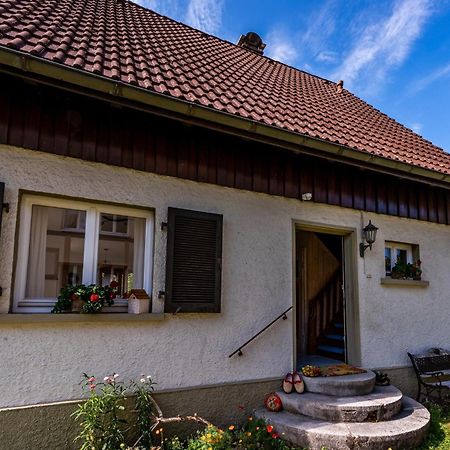 Gartenferienhaus "Annaluise" Schönau im Schwarzwald エクステリア 写真