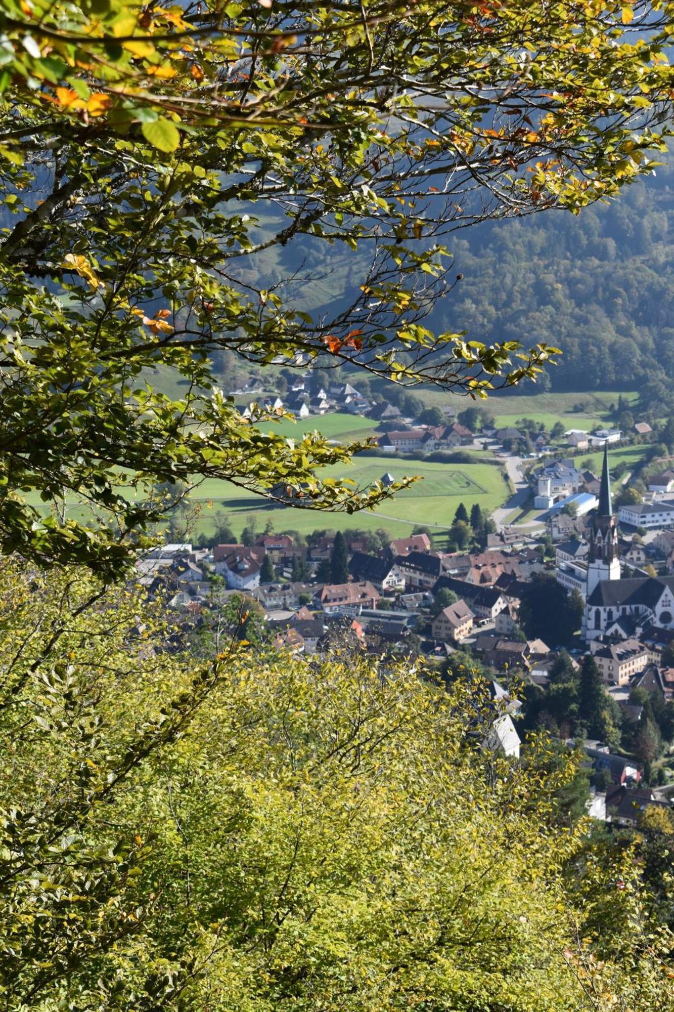 Gartenferienhaus "Annaluise" Schönau im Schwarzwald エクステリア 写真