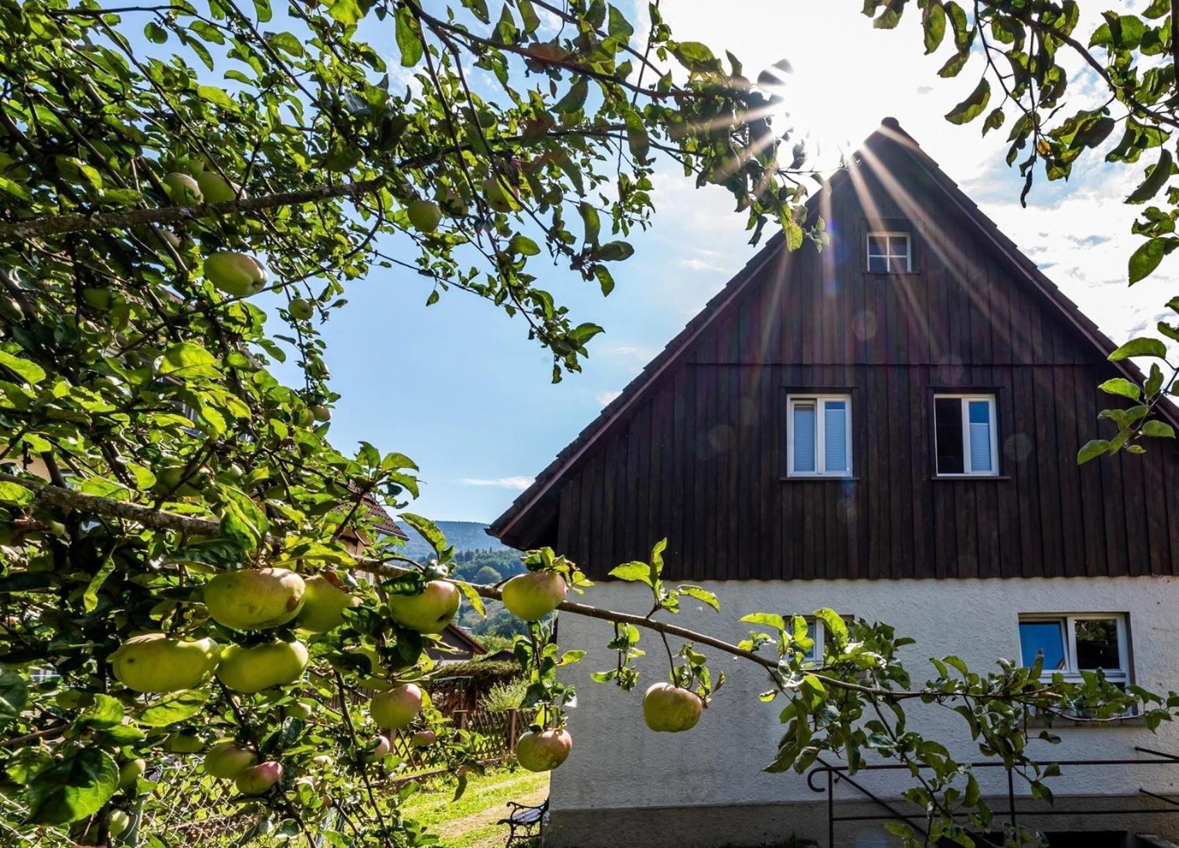 Gartenferienhaus "Annaluise" Schönau im Schwarzwald エクステリア 写真