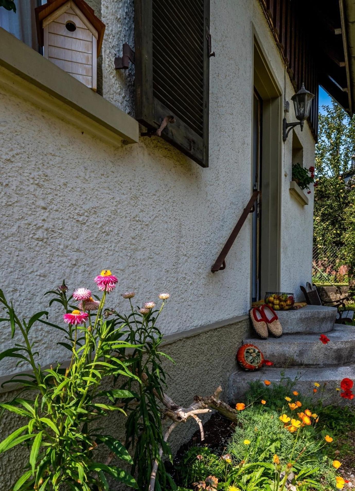 Gartenferienhaus "Annaluise" Schönau im Schwarzwald エクステリア 写真